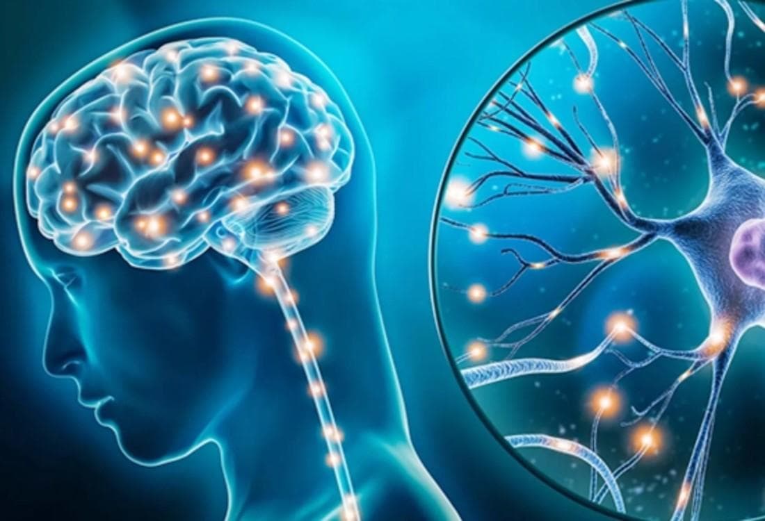 NEUROLOGY