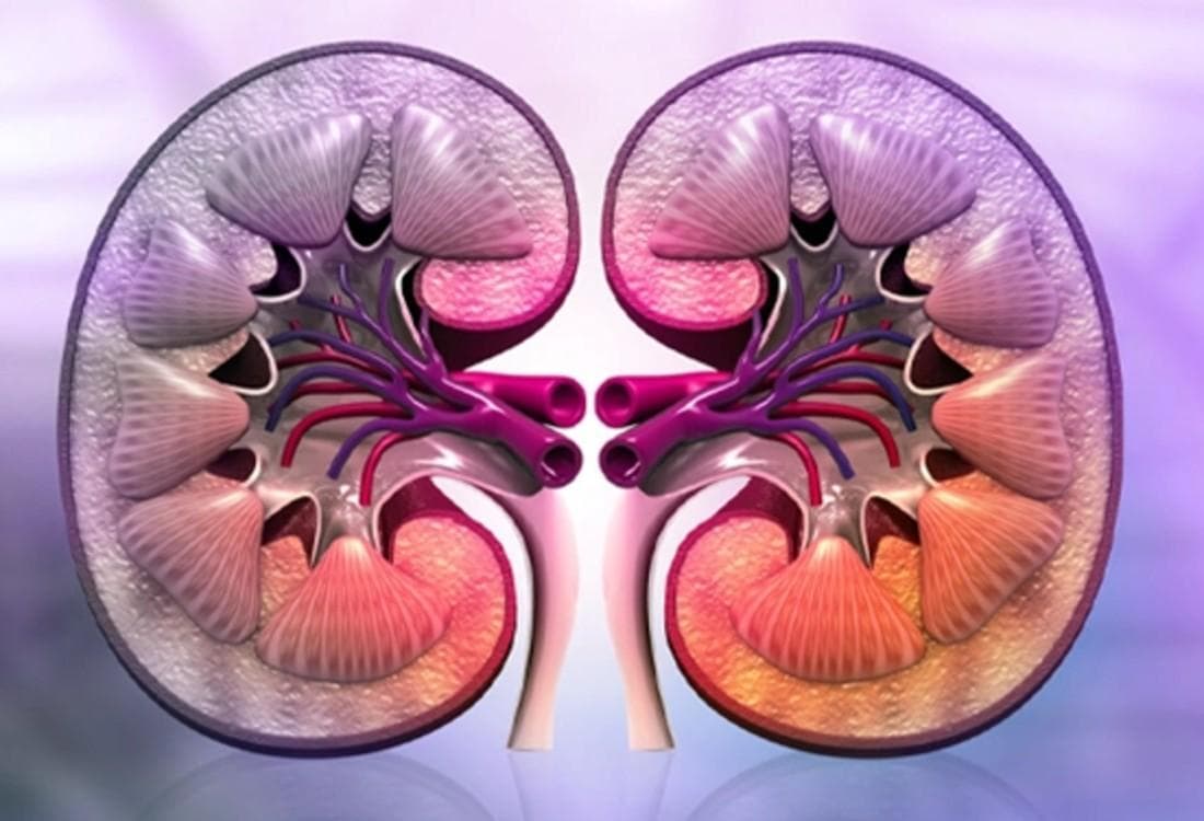 NEPHROLOGY
