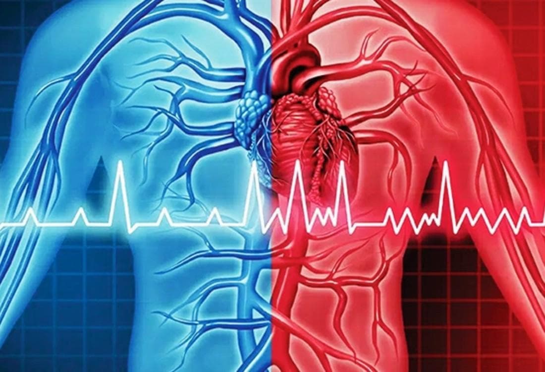 ECHO/ECG Service