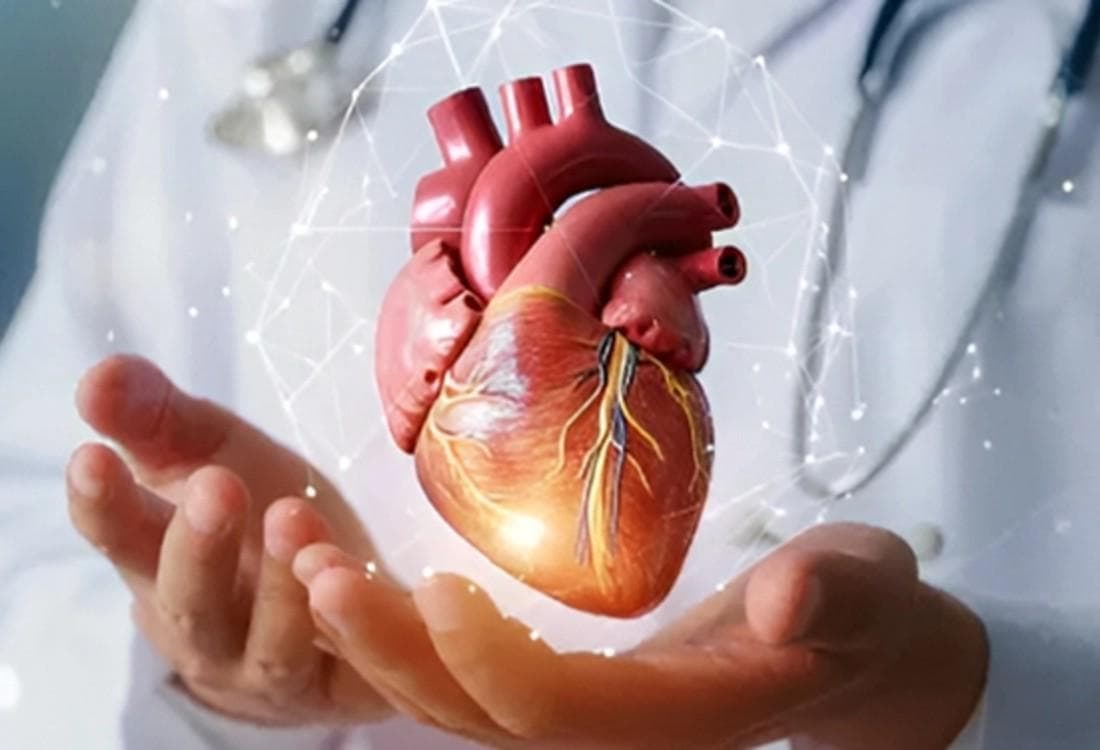 CARDIOLOGY