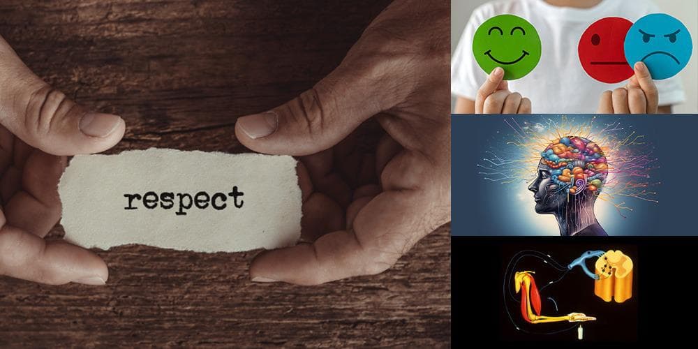 Respect : Emotion, Cognition or Reflex?
